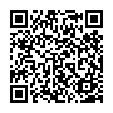 QR code for plate 654 DGS