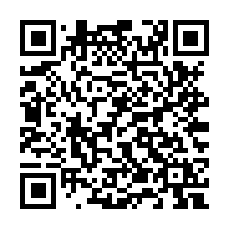 QR code for 655XSX