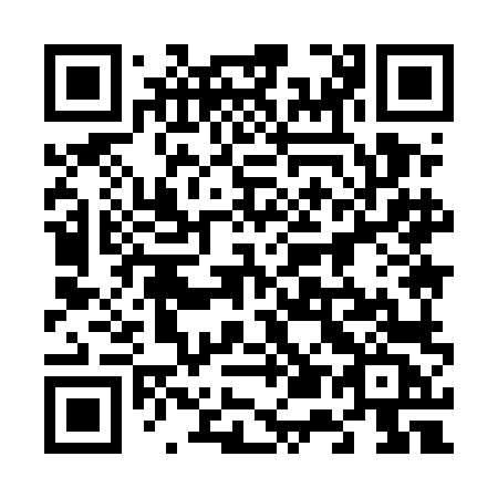 QR code for 6595LC