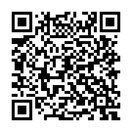 QR code for 6595XK