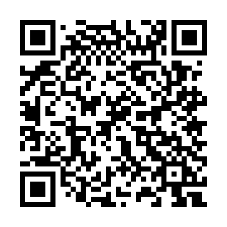 QR code for 6655DI