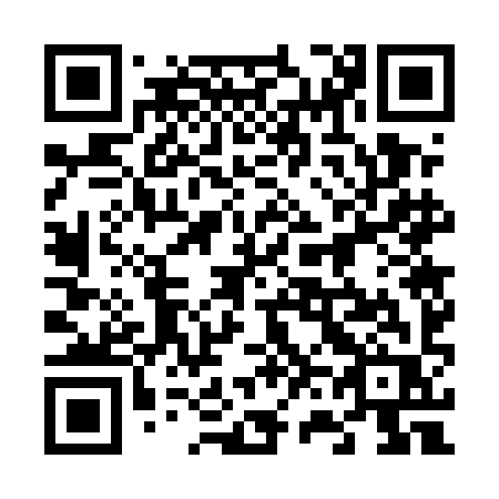 QR code for plate 667 5IR