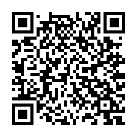QR code for plate 667 PJG