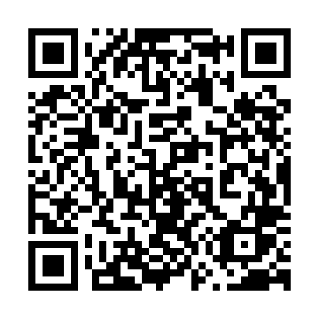 QR code for plate 675 QLS
