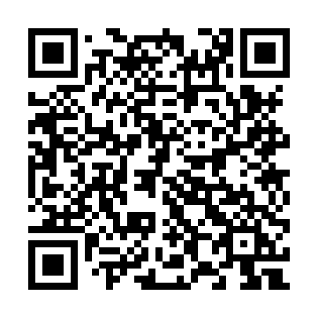 QR code for 6838TI