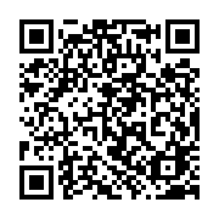 QR code for 685UPC
