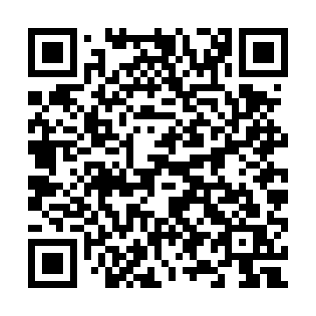 QR code for 696 DQS