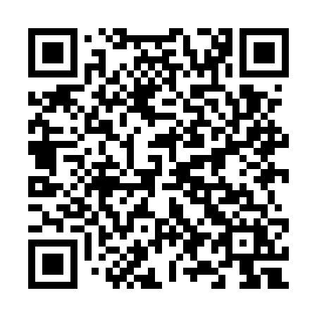 QR code for 699 EVX