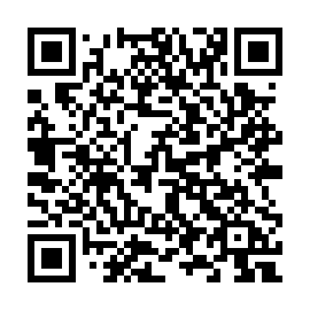 QR code for 699 PPA