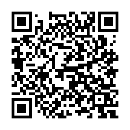 QR code for 6993NS