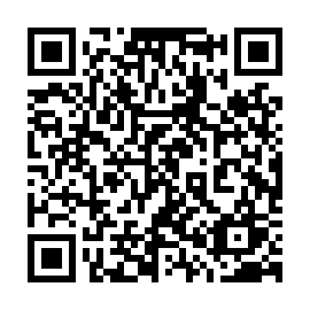 QR code for plate 700 LSW