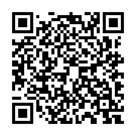 QR code for 704 IIN