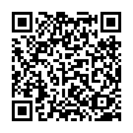 QR code for 728 RAY