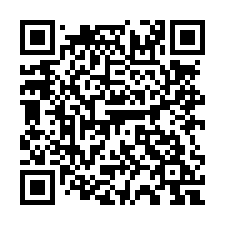 QR code for 729 LQG