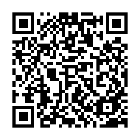 QR code for 729EXE