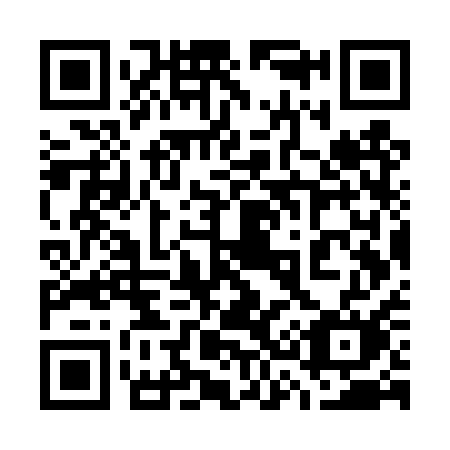 QR code for 737 TQM