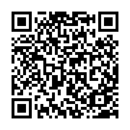 QR code for 800 PPW