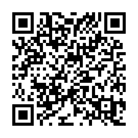 QR code for plate 813 IZI