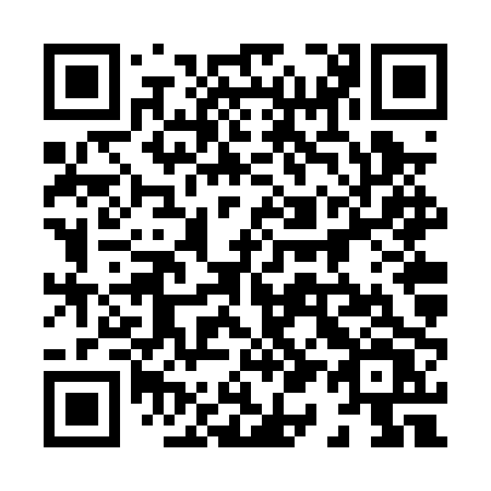 QR code for plate 816 PPV