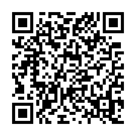 QR code for plate 816 WPN