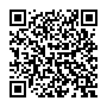 QR code for plate 817 APX