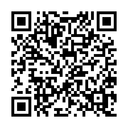 QR code for plate 817 LIL