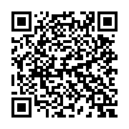 QR code for 828 DZF