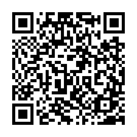 QR code for plate 838 GTS