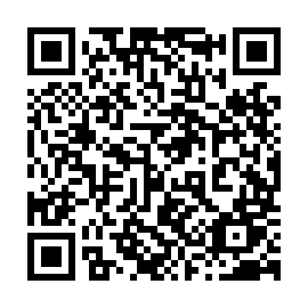 QR code for plate 838 LMT