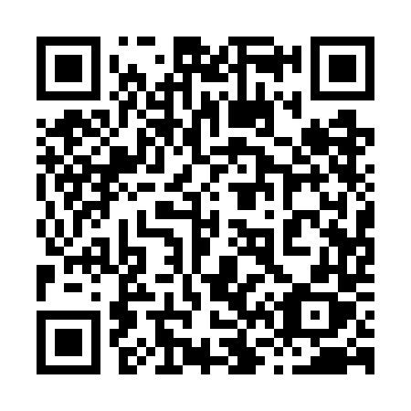 QR code for 8617DX