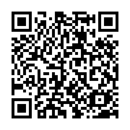 QR code for plate 868 HCM