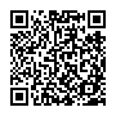 QR code for 869 VLM