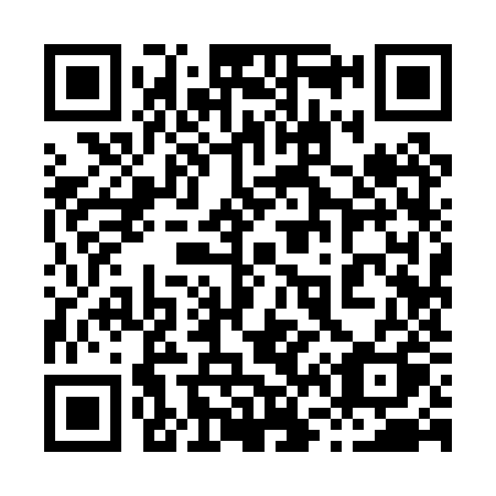 QR code for 8690ZQ