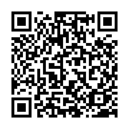 QR code for 8699AP