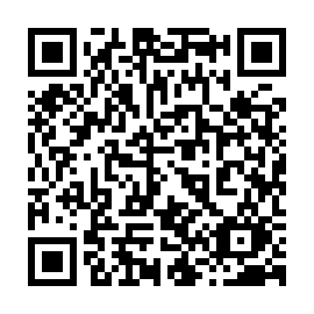 QR code for 8699SO