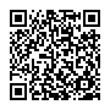 QR code for plate 869 BSN