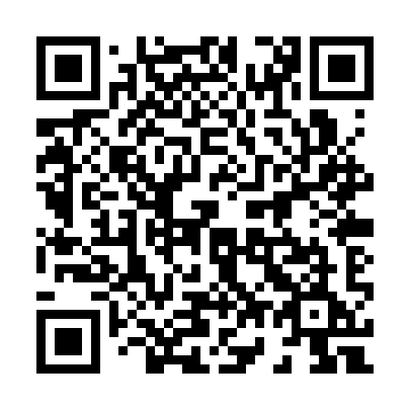 QR code for plate 870 SYE