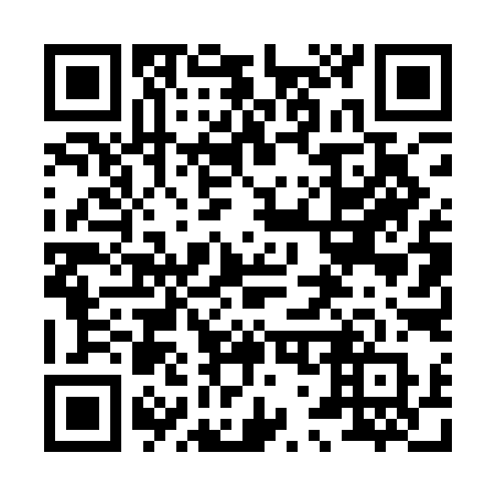 QR code for 8741IR