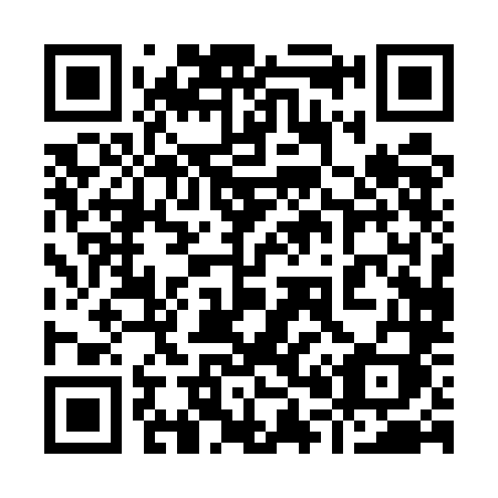 QR code for 9005LI