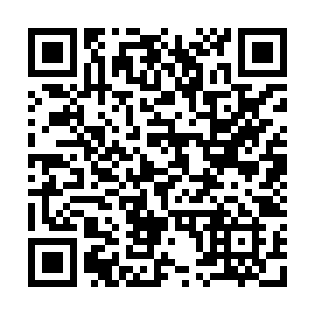 QR code for 9038ZI