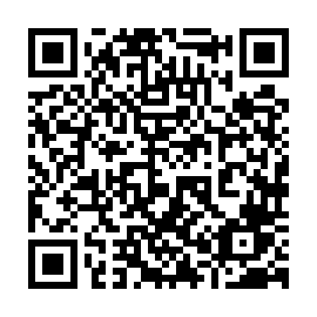 QR code for 9085TV