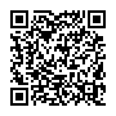 QR code for 9113MI