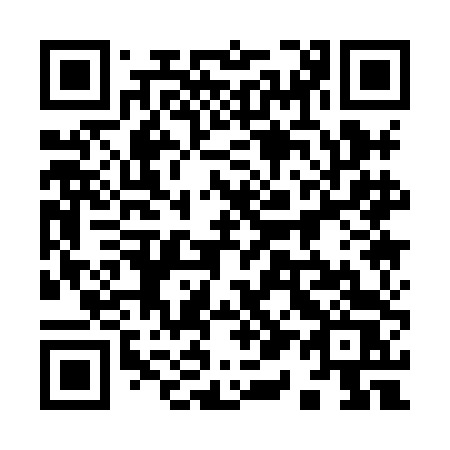 QR code for 9118DS