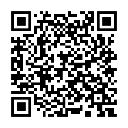 QR code for 9119VN