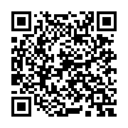 QR code for plate 911 DJL