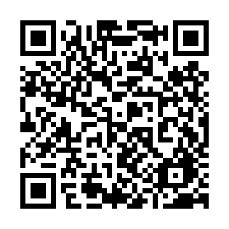 QR code for plate 911 DZG