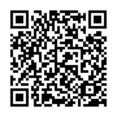 QR code for plate 913 5AP
