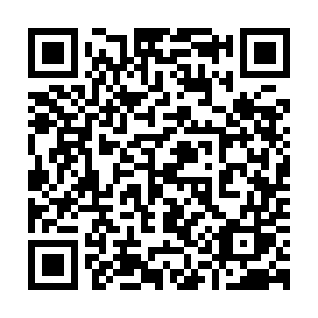QR code for plate 913 9ES