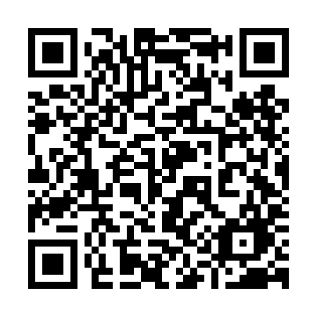 QR code for 916 DIG