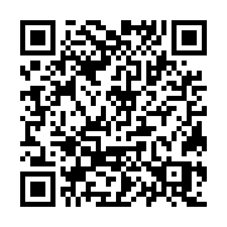 QR code for 917 5NS